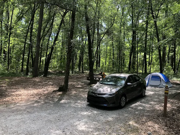 High Falls State Park River Campground 9