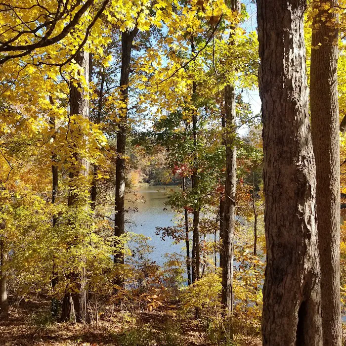 Indian Springs Campground 5
