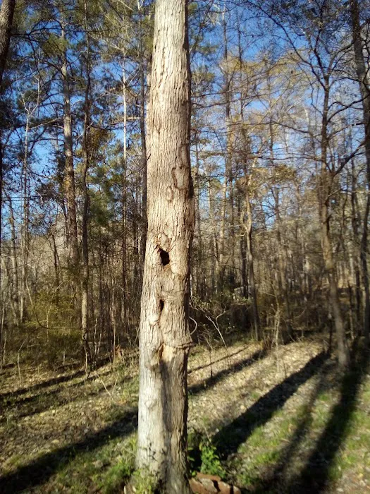 Lake Sinclair Recreation Area 8