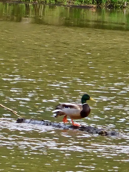 Lake Sinclair Recreation Area 10