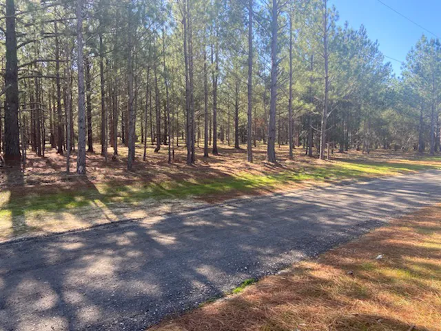 Livin On Wheels RV Park 4