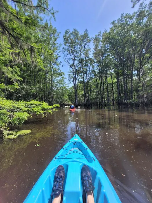 Blackwater Campsite 1