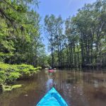 Blackwater Campsite