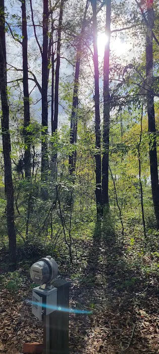 Millen RV Park & Campground 8