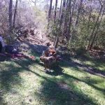 Glennville Trailer Park