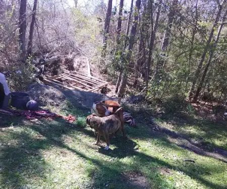 Glennville Trailer Park