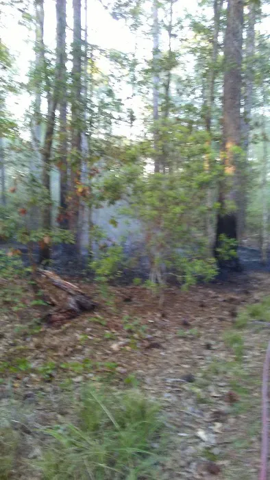 Glennville Trailer Park 4