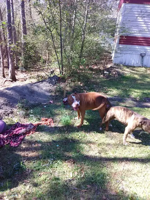 Glennville Trailer Park 7