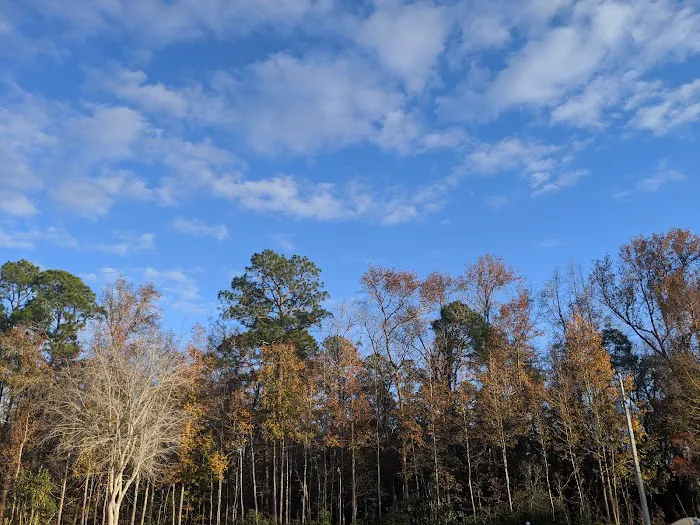 Parkwood Rv Park & Cottages 6