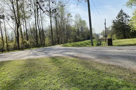 Twin Pines