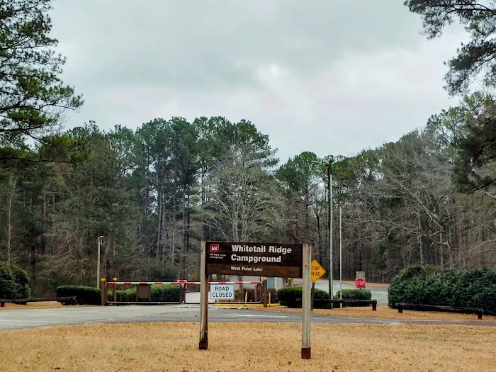 Pyne Road Campground Lot #20 4