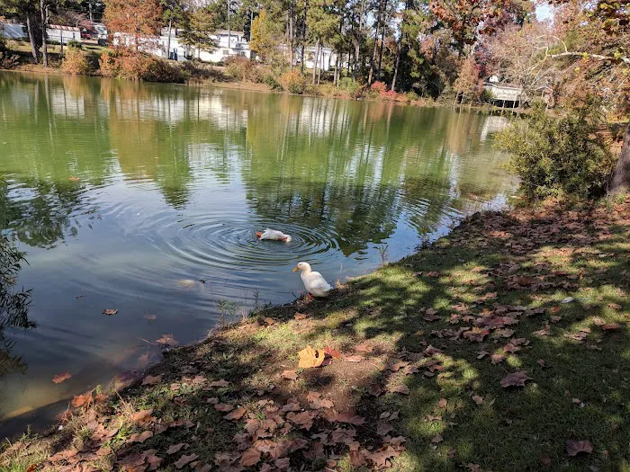 Lakeshore Mobile Home Park 3