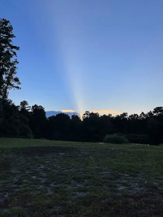 Aree Pond, LLC 6