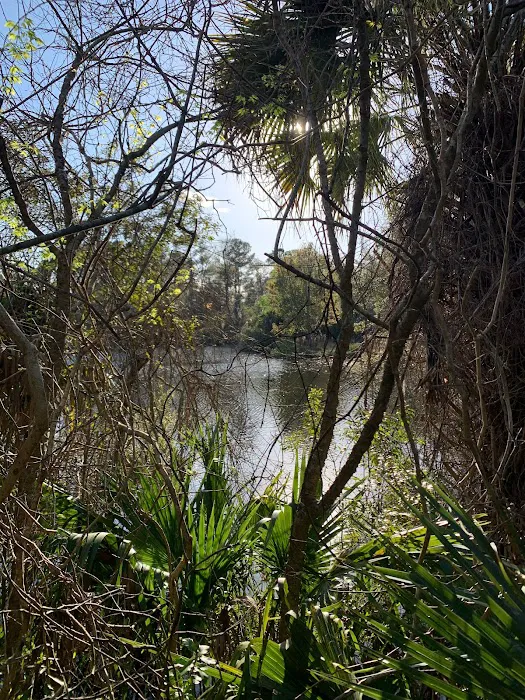 Aree Pond, LLC 9