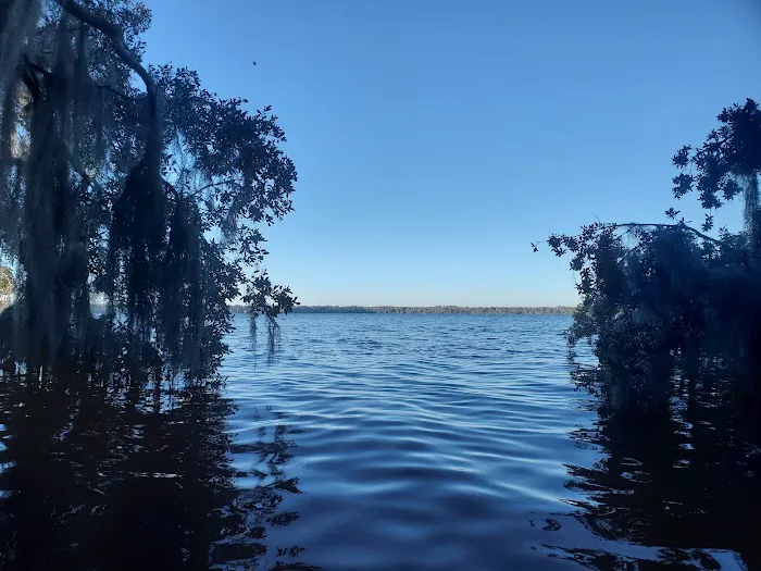 Orange Point - Welaka State Forest 3