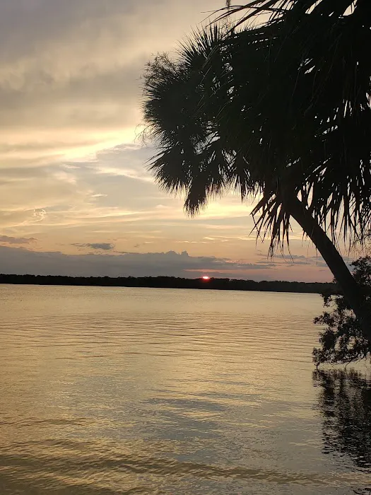 Orange Point - Welaka State Forest 2