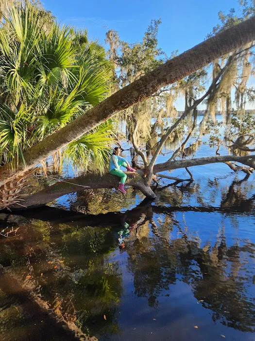 Orange Point - Welaka State Forest 1
