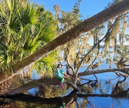 Orange Point - Welaka State Forest