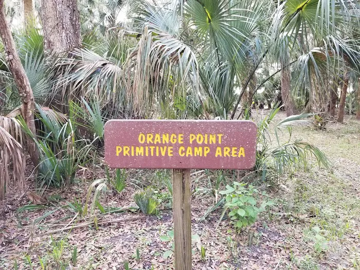 Orange Point - Welaka State Forest 4