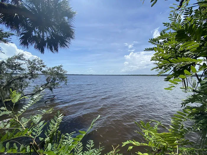 Orange Point - Welaka State Forest 5