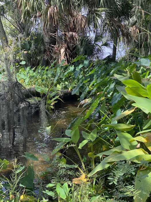 Orange Point - Welaka State Forest 6