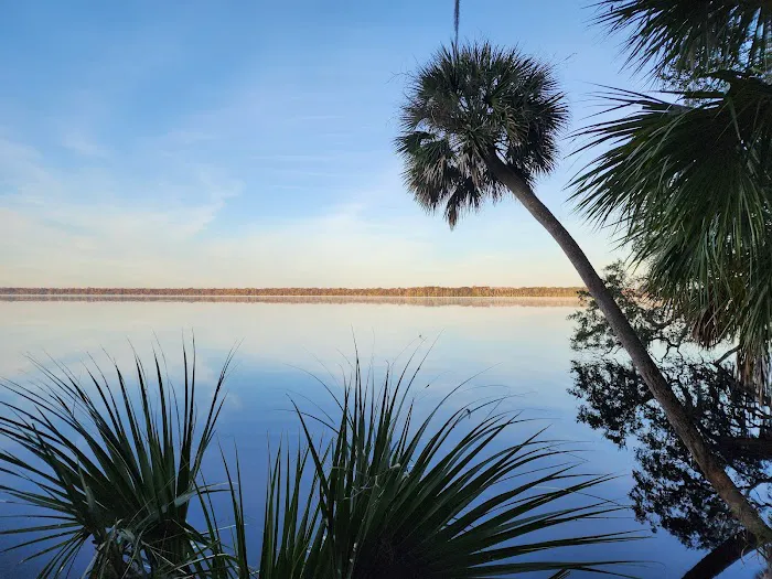 Orange Point - Welaka State Forest 7