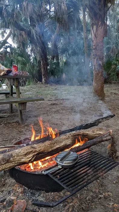 Orange Point - Welaka State Forest 9