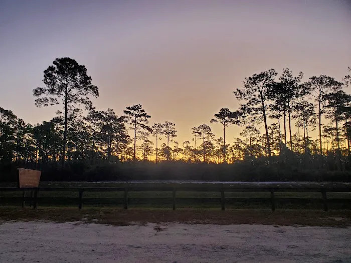 Orange Point - Welaka State Forest 10