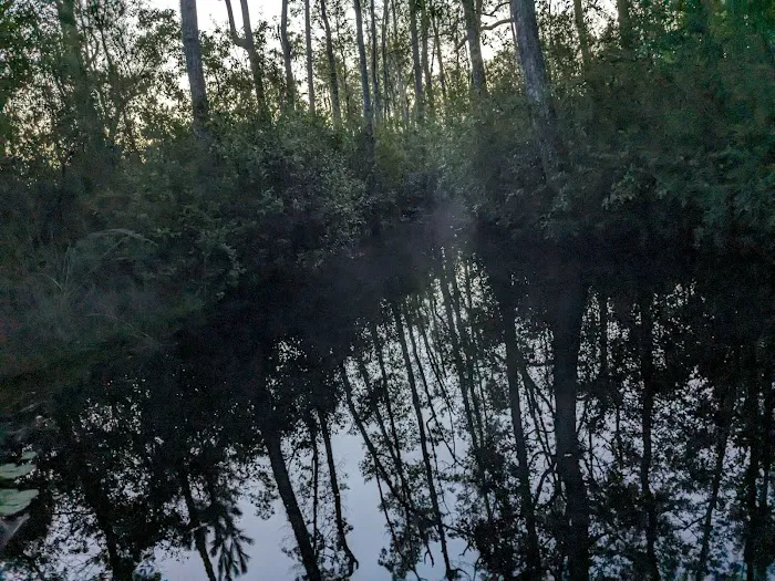 Floyds Island Cabin 6