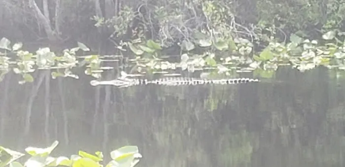 Minnies Lake Canoe Shelter 8