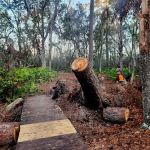 Mixon's Hammock Canoe Shelter