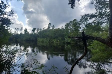St Mary's River Campground LLC