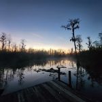 Big Water Canoe Shelter