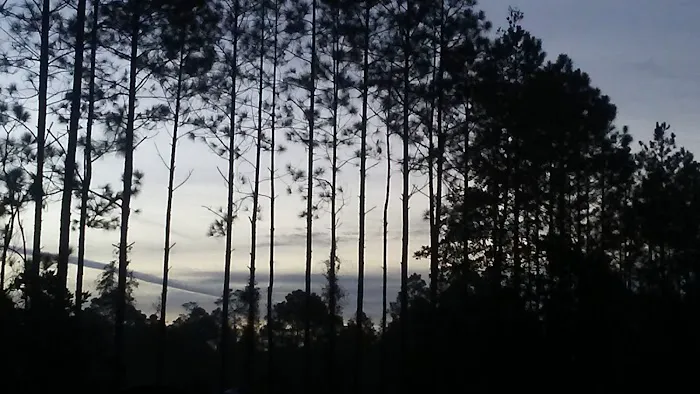 Whispering Pines RV Park and Campground 2