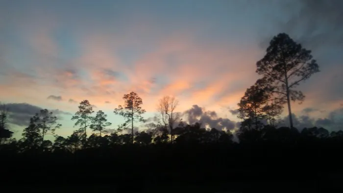 Whispering Pines RV Park and Campground 5