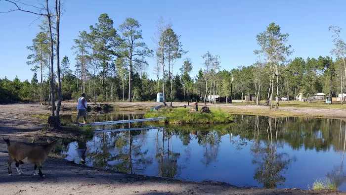 Whispering Pines RV Park and Campground 3