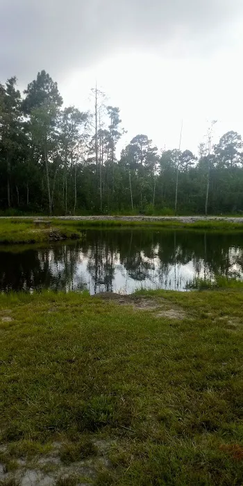 Whispering Pines RV Park and Campground 4