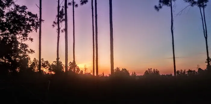 Whispering Pines RV Park and Campground 7