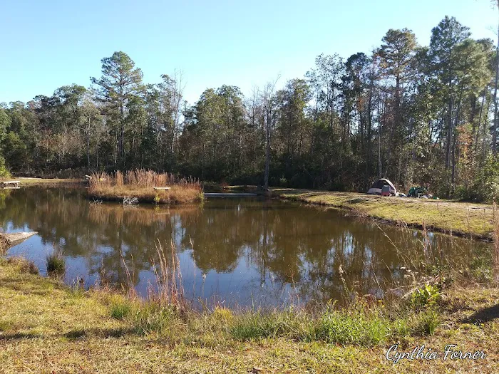 Whispering Pines RV Park and Campground 8