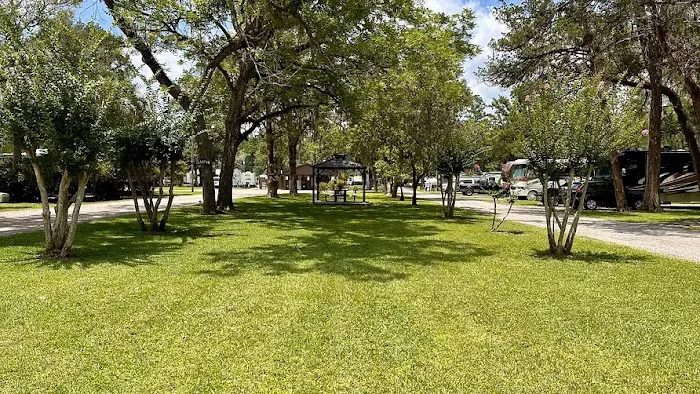 Big Tree RV Park 1