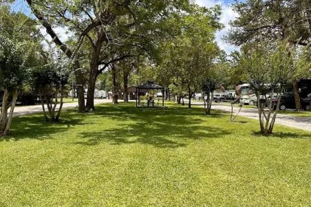 Big Tree RV Park