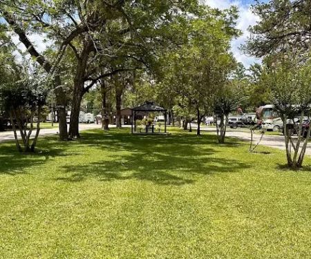 Big Tree RV Park