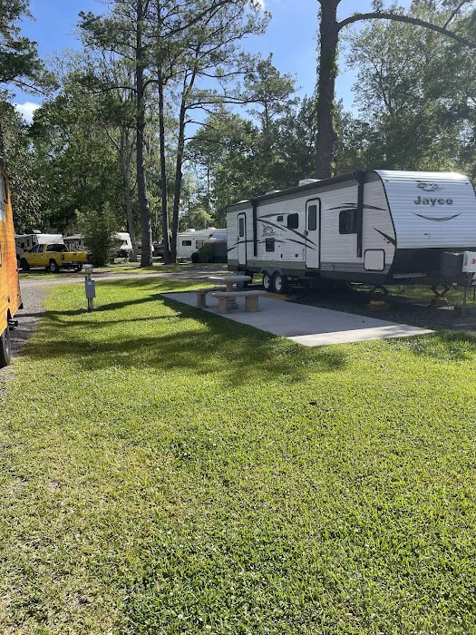 Big Tree RV Park 4