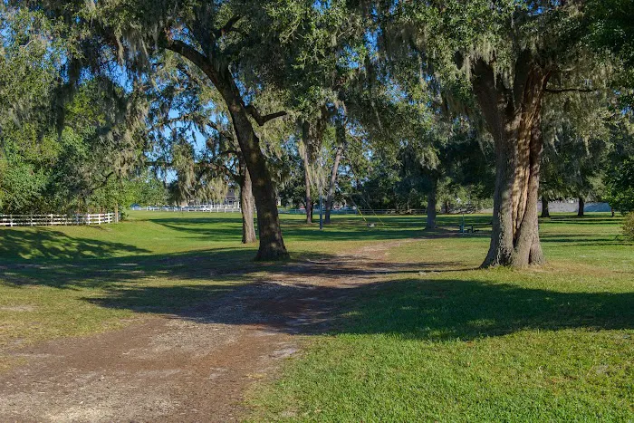 Saddle Oak Club 10