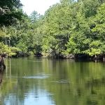 Sandy Oaks RV Park-Mobile Home