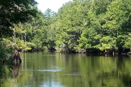 Sandy Oaks RV Park-Mobile Home