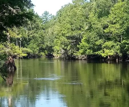 Sandy Oaks RV Park-Mobile Home