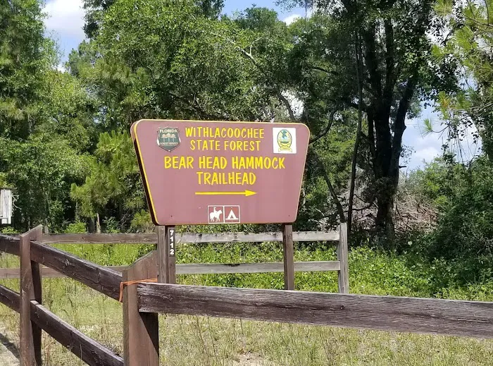 Bearhead Hammock Recreational Area 1