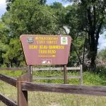 Bearhead Hammock Recreational Area