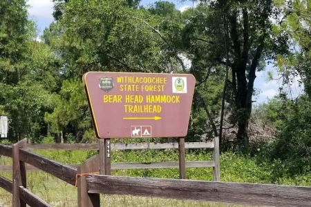 Bearhead Hammock Recreational Area